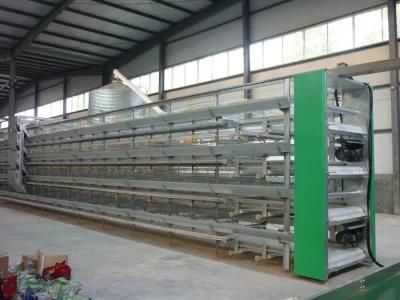 Laying Hen Chicken Egg Layer Cages for The Poultry Farm