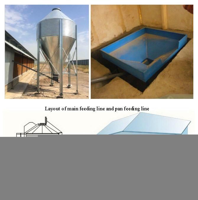 Automatic Broiler Chicken Shed Feeder and Drinker From Weifang U-Best