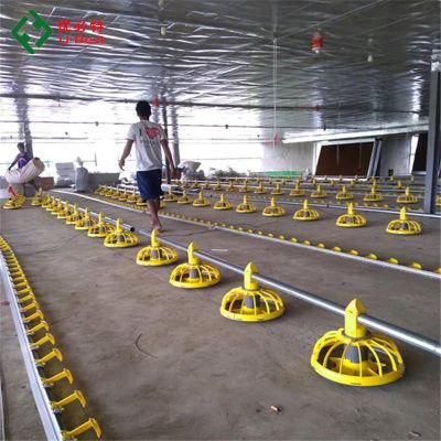 Automatic Broiler Flooring Ground Feeding Chicken Poultry Farm Equipment