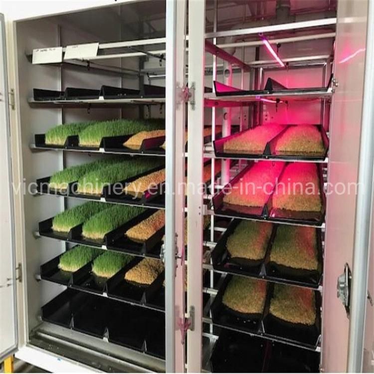 Australia Popular Automatic Green Fodder Hydroponic Growing Systems