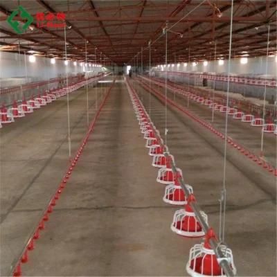 Automatic Poultry Broiler House Equipment for Chicken Farm