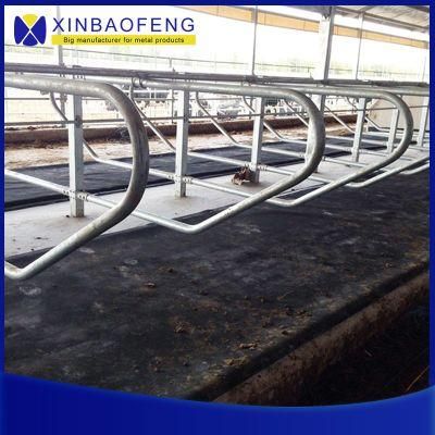 Cattle Feeding Fence, Headlock, Cow Stall, Cattle Equipment Manufacturer