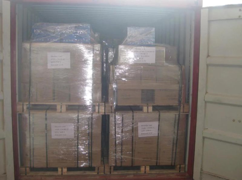 Hot Sale Products Automatic Poultry Feeding Equipment Main Feed System