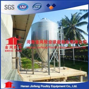 Feed Silo for Chicken/Pig Poultry Equipment