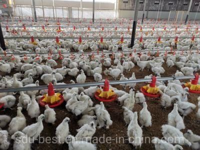 Complete Modern Broiler Automatic Chicken Poultry Farm Equipment