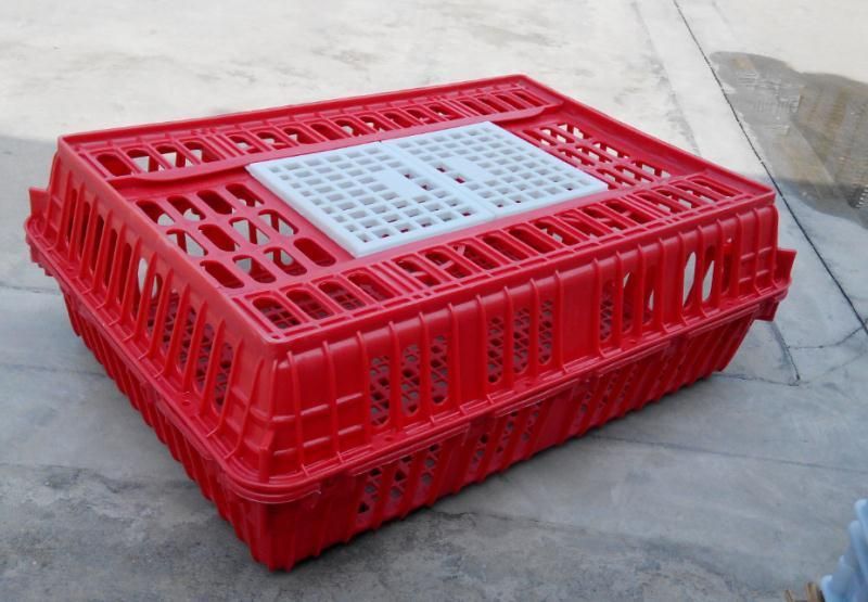 High Quality Chicken Cage, Plastic Cage for Chicken, Duck, Goose and Other Birds