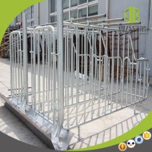 Wholesale Pig Equipment Gestation Stall Individual Cage for Sale