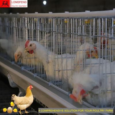430cm2 or 450cm2 Local After-Sale Service in Asia a Type Layer Cage