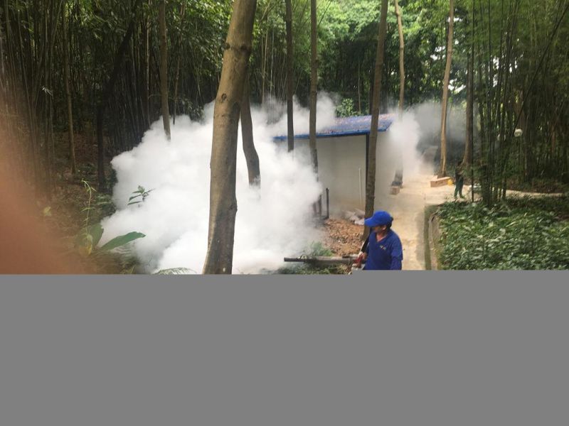 OEM Custom Wholesale Garden Tool Fogger Fogging Fog Machine