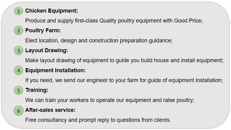 Prefabricated House Building Automatic Poultry Farms Chicken House
