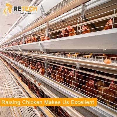 H type chicken layer cage poultry farm