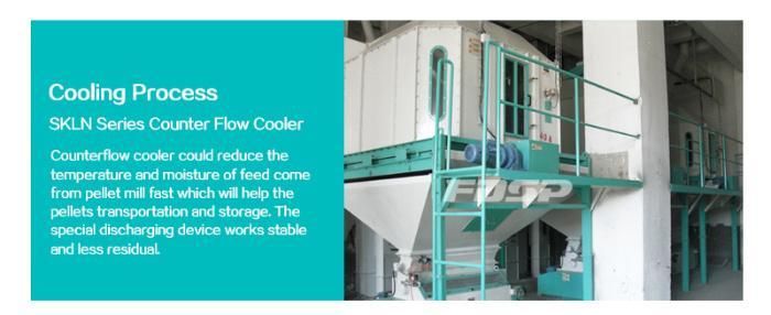 High Output Poultry Feed Production Machine