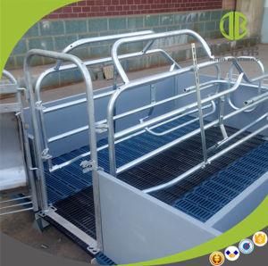 High Quality Farrowing High Strengh Galvanized Farrowing Crates for Pig