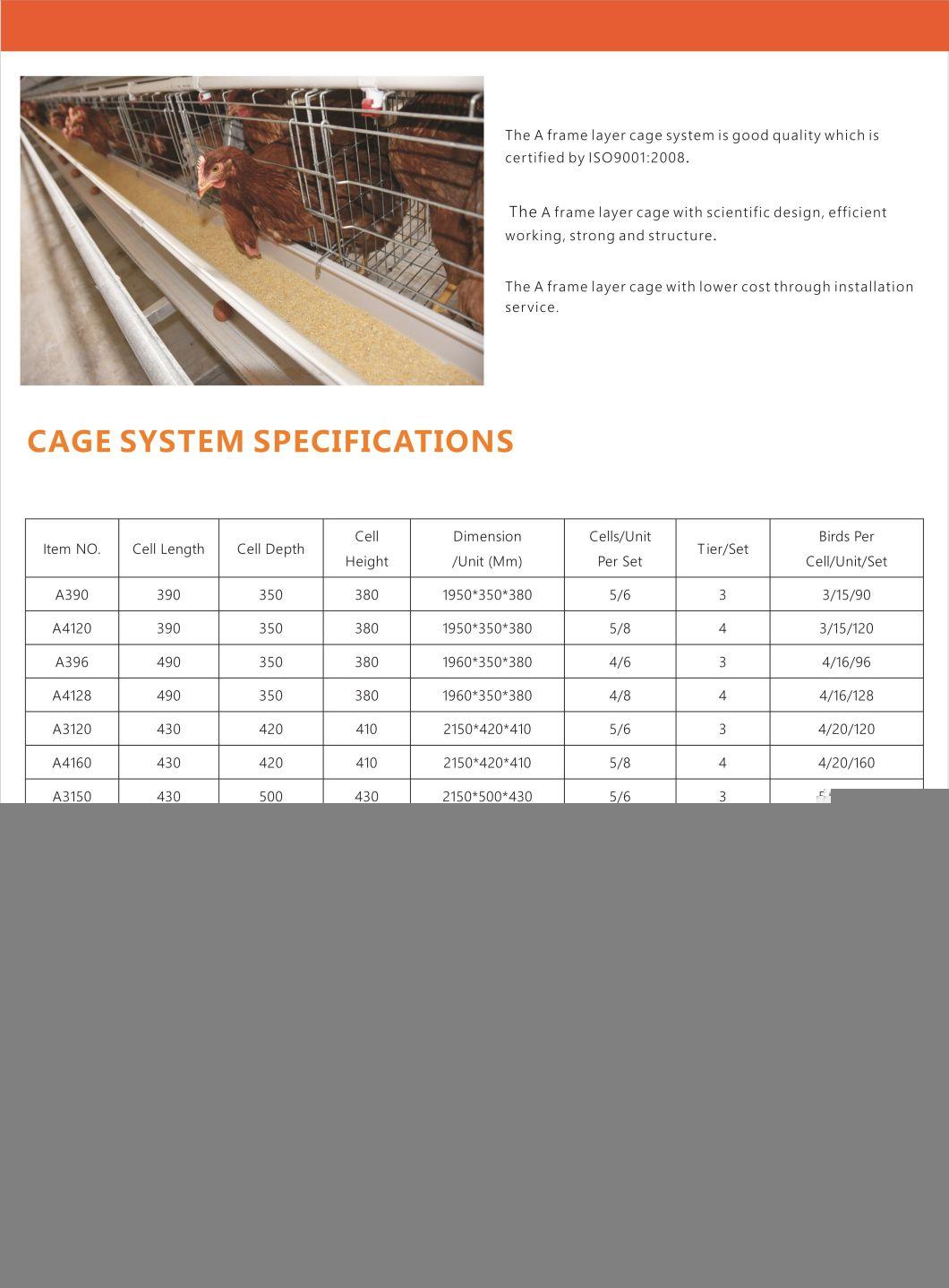 Type a Automatic Hot Galvanized Chicken Cage Equipment