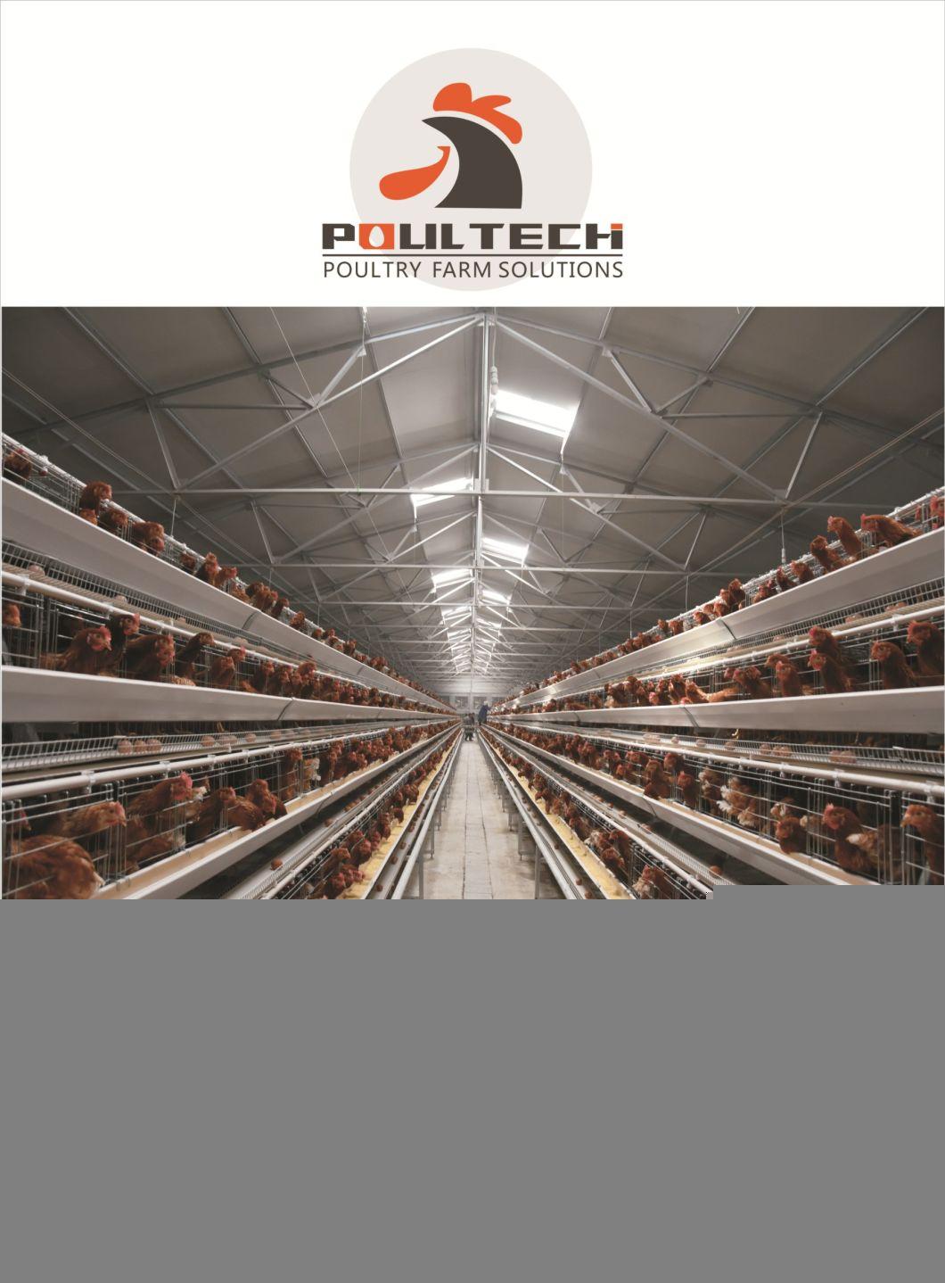 Automatic Chicken Poultry Layer Cage for Poultry Farming
