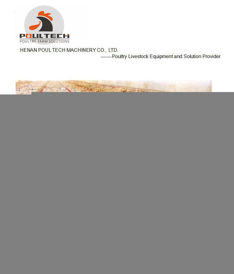 Hot Selling Poultry Farm Automatic Broiler Flat Raising Equipment