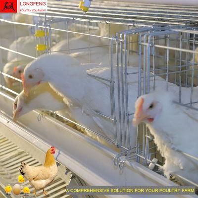 Longfeng New China Layer Cages Poultry Farm Battery Chicken Cage with Good Service