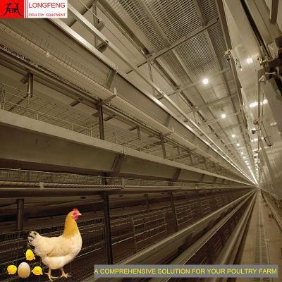 Longfeng New Drinkers Computerized Automatic Poultry Chicken Cages for Sale