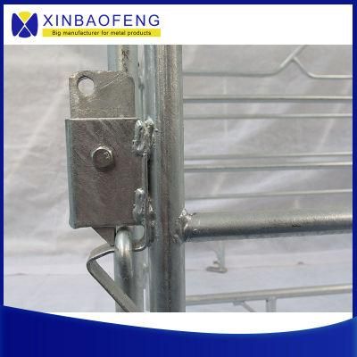 Farrowing Pens for Pig Raising Equipment Used in Hot-Selling Pig Farms