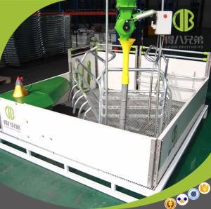 Hot Sale High Quality High Survival Rate Used Farrowing Crates