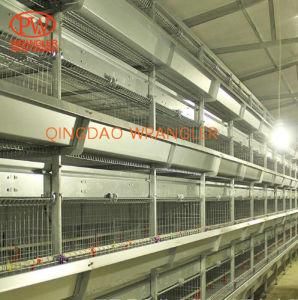 Cheap Poultry Shed Popular Used Brolier Farming Cage