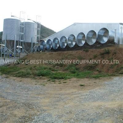 Prefabricated House Building Automatic Poultry Farms Chicken House