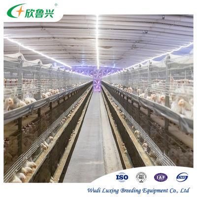 Hot Galvanized Egg Chicken Farming Cage Ladder Type Layer Breeding Poultry Cage