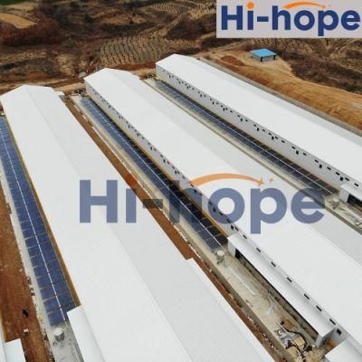 Hog Piggery Equipment Farm Design with Pig Prefab Steel Structure House