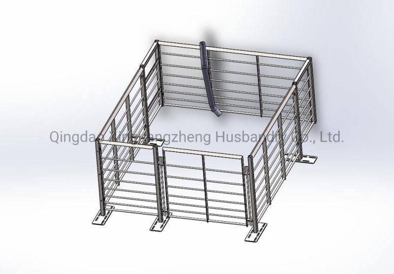 South Africa Hot Sale Pig Farrowing Crate /Farrowing Penning Pig Stall