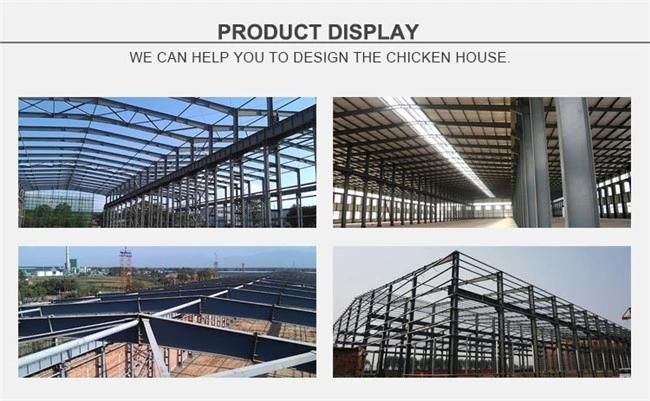 Automatic Steel Structure Design Chicken House Poultry Farm