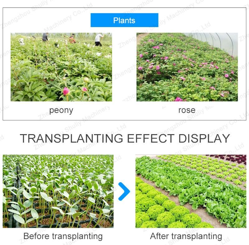Hot Selling Seeders & Transplanters Vegetable Seedlings Transplanter