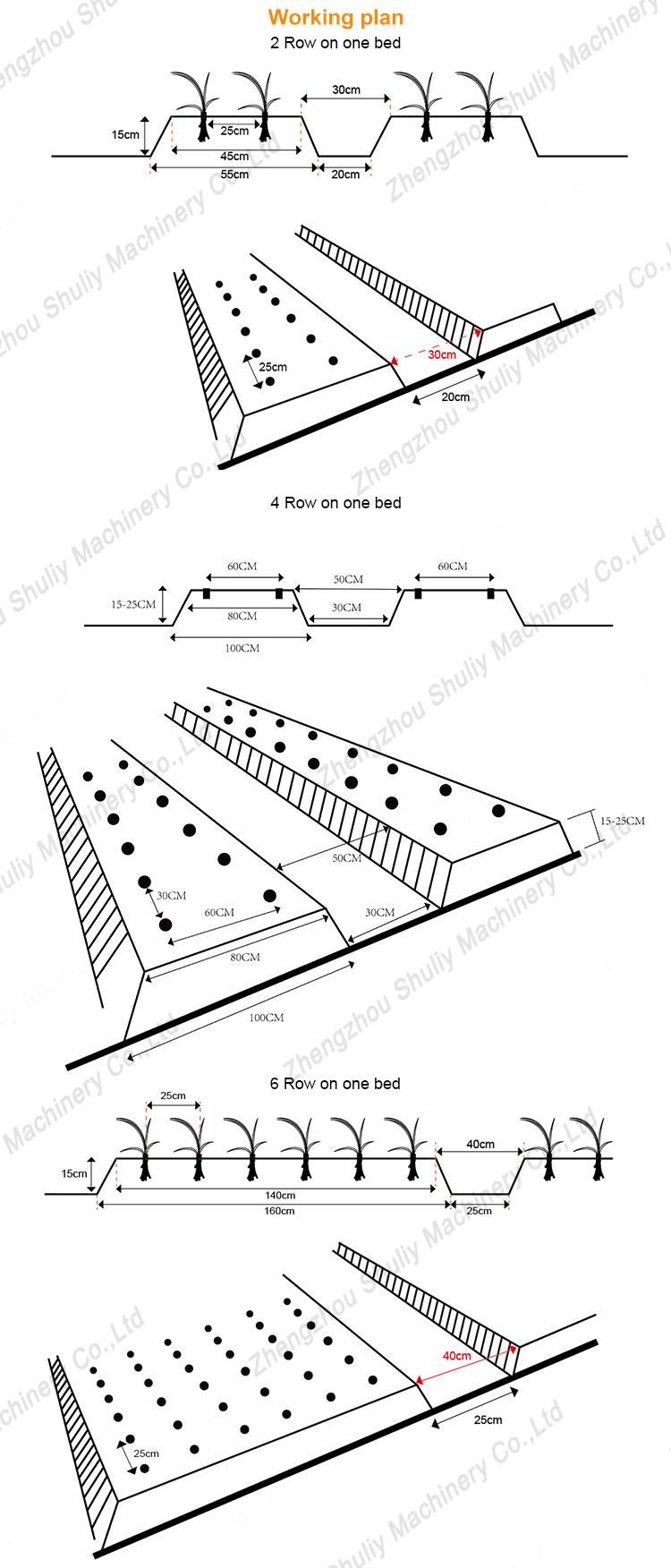 Onion Transplanter Vegetable Seedling Transplanter Seedling Transplanting Machine
