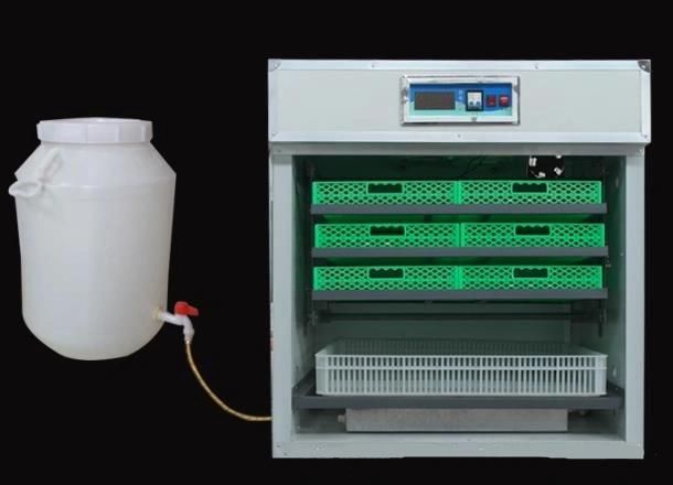 Automatic Household Incubator, Intelligent Incubator, Small and Medium Incubator, Chicken, Duck, Goose, Pigeon