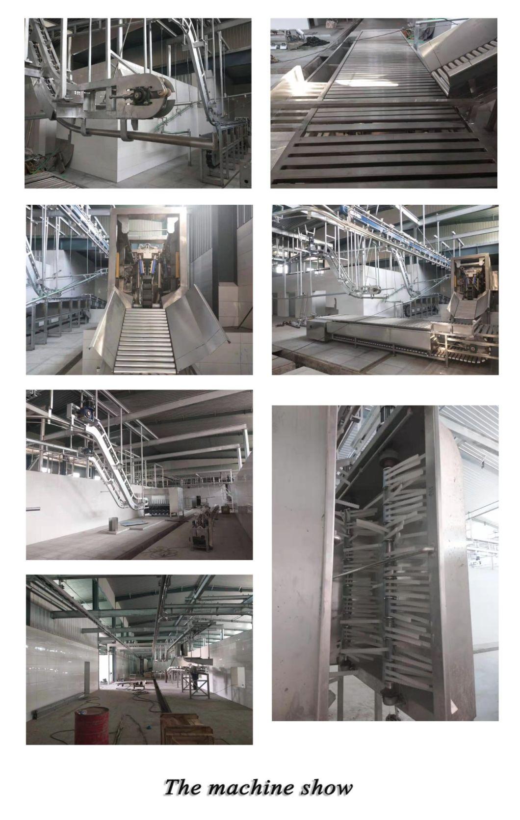 380V/220V Galvanizing Turnkey Project Overseas Services Apply Pig Abattoir Equipment