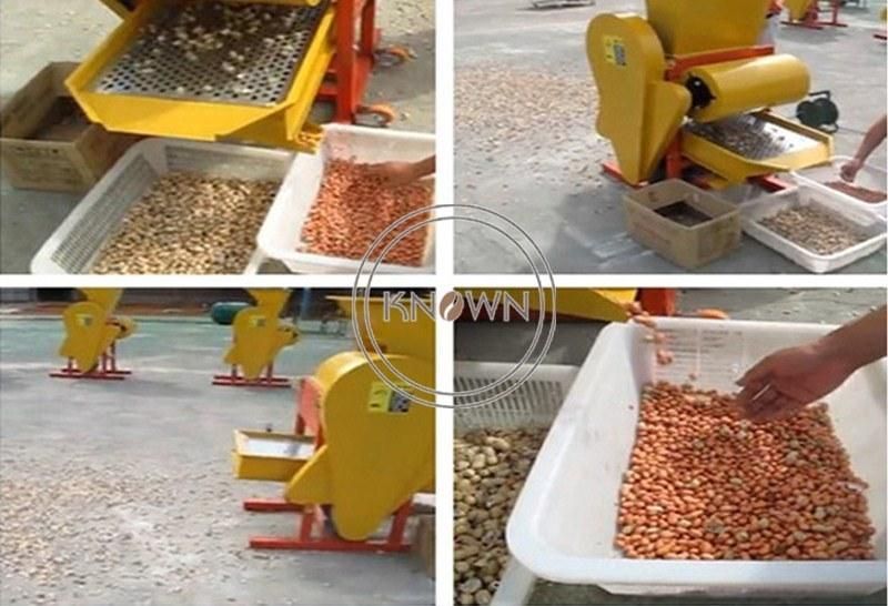 Commercial Cashew Sheller Dry Peanut Red Skin Peeling Machine Automatic Almond Peeler Machinery Camellia Nectar Seed Shell Machine