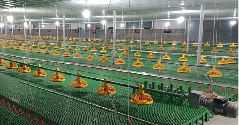 Factory Price Poultry Plastic Slat Flooring