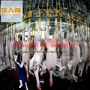 Meat Processing Machine in Poultry Farming House with Prefab House Design and Construction