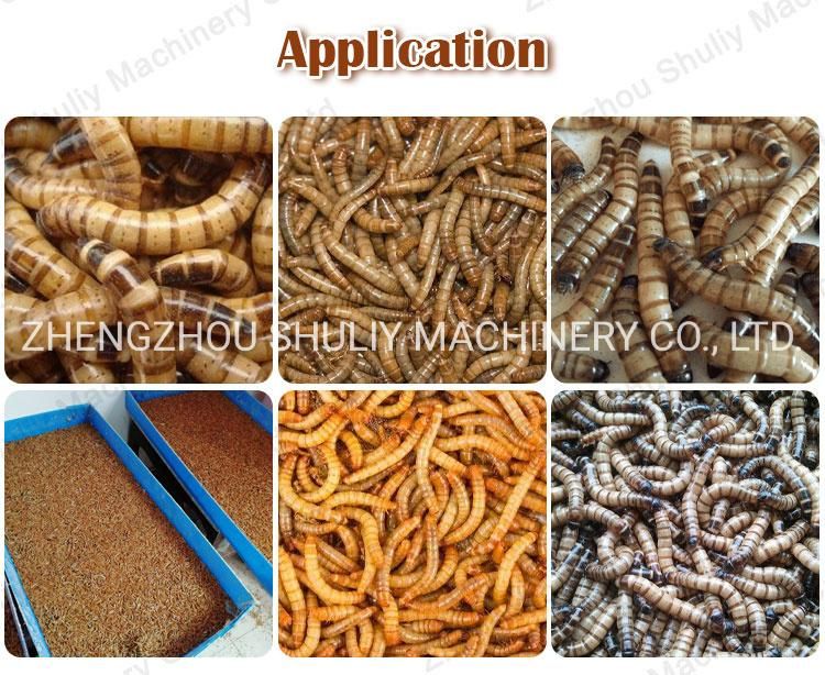 Big Mealworm Separator Sorting Machine Dust-Free Mealworm Screening Tenebrio Molitor Machine