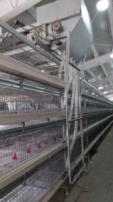 6 Tiers Poultry Layer Cage Hot Galvanized Cage H Type Cage Hen Layer Cage Poultry Equipments