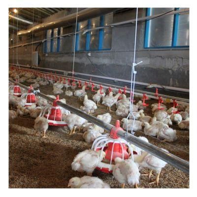 Poultry Farm Shed Design Convenient Broiler Cage Equipment Feeding System