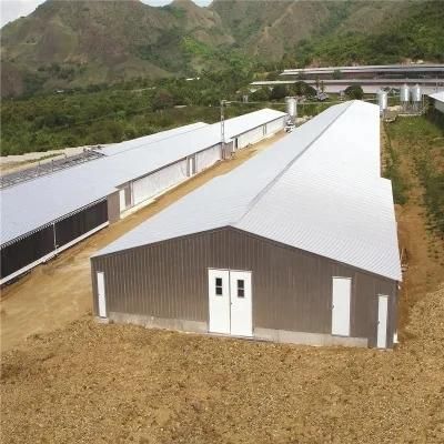 Modern Technology Automated Steel Poultry Farm