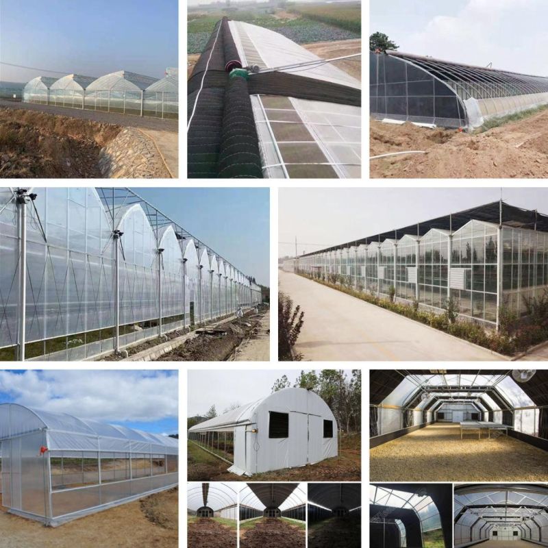Factory Prefabricated Models of Agriculture Seedling Machines with Watering Station and Air Compressor for Complete Sowing Handling for Farming