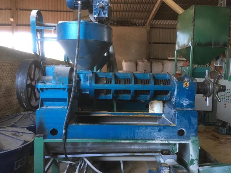10ton Soybean Oil Press Machine From Factroy