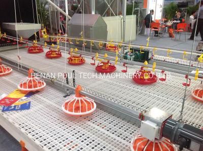 Modern Chicken Farm Machinery Floor Raising Equipment