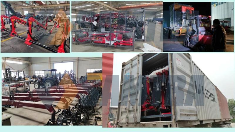 China Manufacturer Hydraulic Palm Fruit Grabber Crane in Malasia