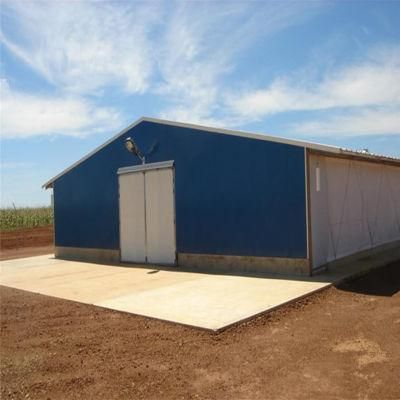 Full Automatic Hot Sale Technical Chicken Coop Equipment