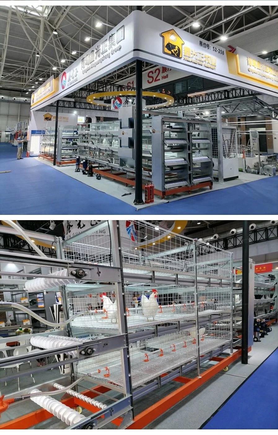 2021 New Type Layer Chicken Cage with Automatic Machine System (H Frame)