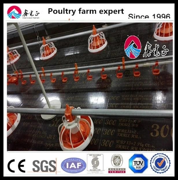 Automation Complete Poultry Farm Equipment Feeding System for Chicken Cages