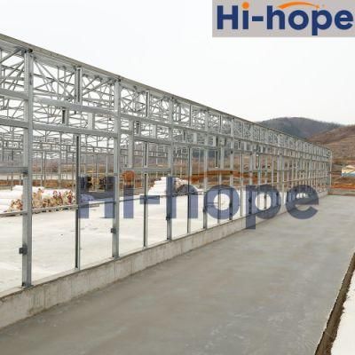 Poultry Farm Equipment Steel Structure Building Manufacturer