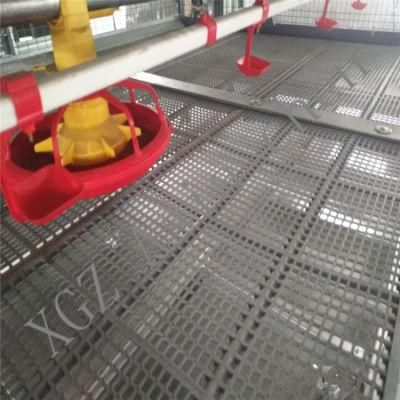 Self-Designed High-End Feeder of Broiler Cage System